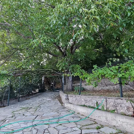 το παραδοσιακό *